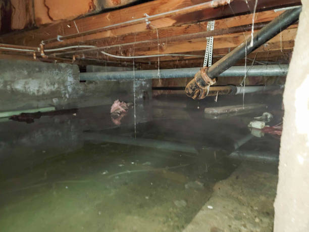 Best 24-hour water damage restoration  in Clymer, PA