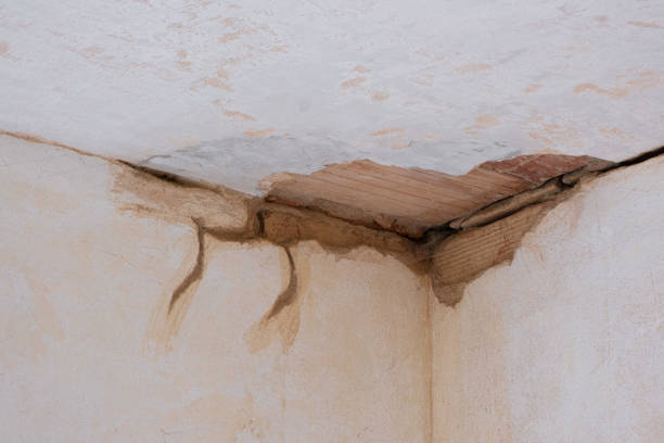 Best Ceiling water damage repair  in Clymer, PA