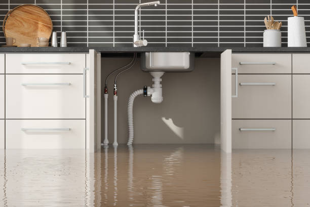 Best Commercial water damage restoration  in Clymer, PA